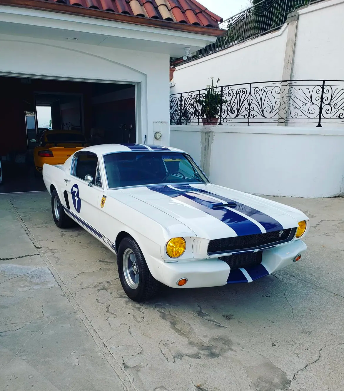 White Mustang GT350 Blue Stripe - Custom Paint and Body Work