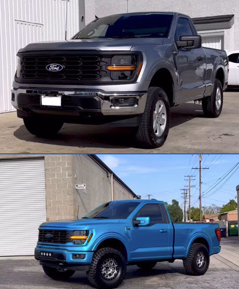 Customized Ford F150 with Full Body PPF and Ceramic Coating